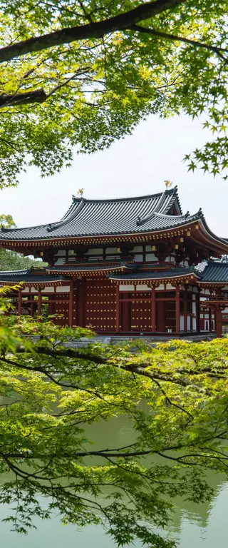 Besondere Japan Reisetipps für Grüntee-Fans